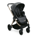 عربة من تشيكو